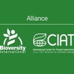 Alliance of Bioversity International and CIAT