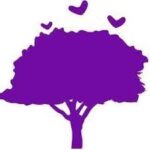 Jacaranda Foundation