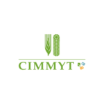 International Maize and Wheat Improvement Center (CIMMYT)