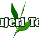 Lujeri Tea Estates Limited